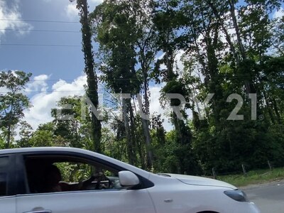 Venta de Finca rodeada de naturaleza y muy cerca del mar, en Westfalia, Limón, Costa Rica — Foto 44
