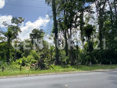 Venta de Finca rodeada de naturaleza y muy cerca del mar, en Westfalia, Limón, Costa Rica — Foto 43