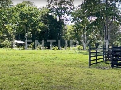 Venta de Finca rodeada de naturaleza y muy cerca del mar, en Westfalia, Limón, Costa Rica — Foto 7