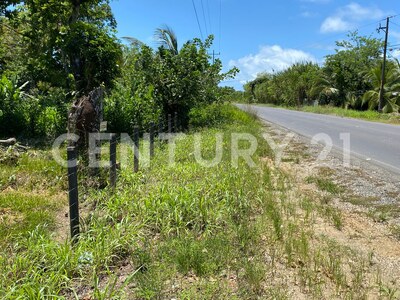 Venta de Finca rodeada de naturaleza y muy cerca del mar, en Westfalia, Limón, Costa Rica — Foto 39