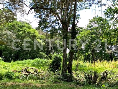 Venta de Finca rodeada de naturaleza y muy cerca del mar, en Westfalia, Limón, Costa Rica — Foto 22