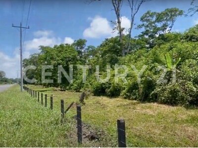 Venta de Finca rodeada de naturaleza y muy cerca del mar, en Westfalia, Limón, Costa Rica — Foto 8