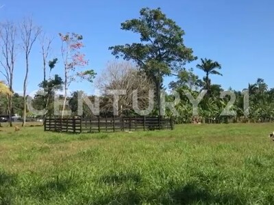 Venta de Finca rodeada de naturaleza y muy cerca del mar, en Westfalia, Limón, Costa Rica — Foto 56