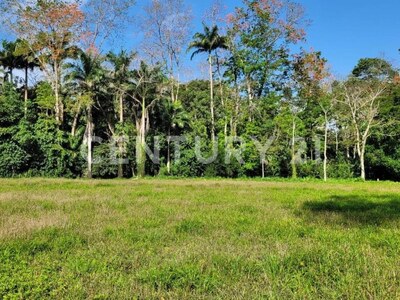 Venta de Finca rodeada de naturaleza y muy cerca del mar, en Westfalia, Limón, Costa Rica — Foto 58