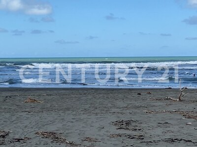 Venta de Finca rodeada de naturaleza y muy cerca del mar, en Westfalia, Limón, Costa Rica — Foto 41