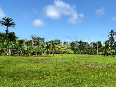 Venta de Finca rodeada de naturaleza y muy cerca del mar, en Westfalia, Limón, Costa Rica — Foto 3