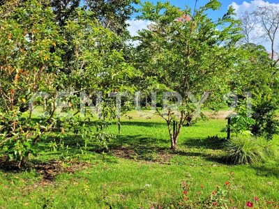Venta de Finca rodeada de naturaleza y muy cerca del mar, en Westfalia, Limón, Costa Rica — Foto 4