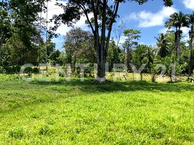 Venta de Finca rodeada de naturaleza y muy cerca del mar, en Westfalia, Limón, Costa Rica — Foto 18