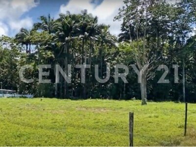 Venta de Finca rodeada de naturaleza y muy cerca del mar, en Westfalia, Limón, Costa Rica — Foto 13