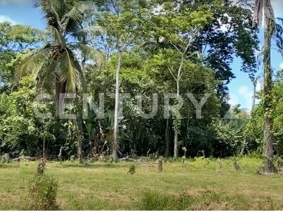 Venta de Finca rodeada de naturaleza y muy cerca del mar, en Westfalia, Limón, Costa Rica — Foto 10