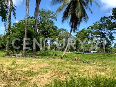 Venta de Finca rodeada de naturaleza y muy cerca del mar, en Westfalia, Limón, Costa Rica — Foto 26