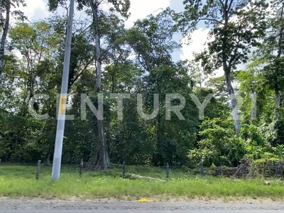 Venta de Finca rodeada de naturaleza y muy cerca del mar, en Westfalia, Limón, Costa Rica — Foto 45