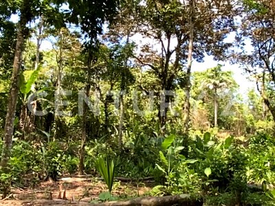 Venta de Finca rodeada de naturaleza y muy cerca del mar, en Westfalia, Limón, Costa Rica — Foto 31