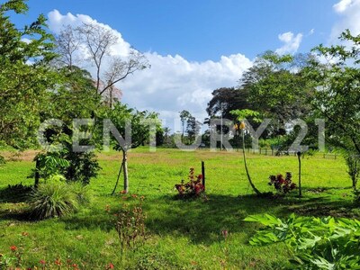 Venta de Finca rodeada de naturaleza y muy cerca del mar, en Westfalia, Limón, Costa Rica — Foto 5