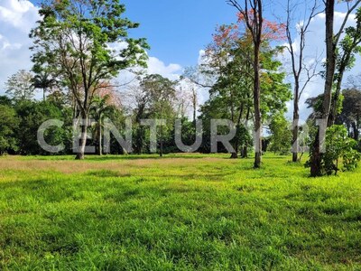 Venta de Finca rodeada de naturaleza y muy cerca del mar, en Westfalia, Limón, Costa Rica — Foto 62
