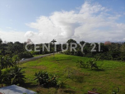 Venta de Finca rodeada de naturaleza y muy cerca del mar, en Westfalia, Limón, Costa Rica — Foto 56