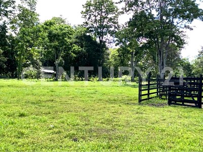 Venta de Finca rodeada de naturaleza y muy cerca del mar, en Westfalia, Limón, Costa Rica — Foto 16