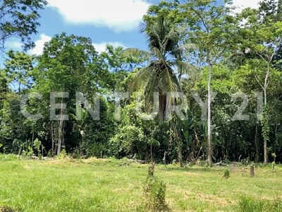 Venta de Finca rodeada de naturaleza y muy cerca del mar, en Westfalia, Limón, Costa Rica — Foto 50