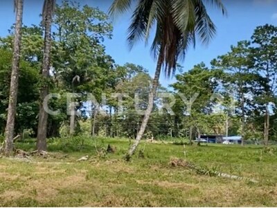 Venta de Finca rodeada de naturaleza y muy cerca del mar, en Westfalia, Limón, Costa Rica — Foto 11