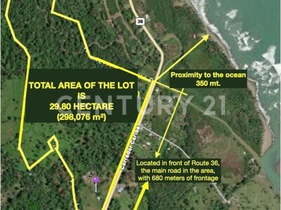 Venta de Finca rodeada de naturaleza y muy cerca del mar, en Westfalia, Limón, Costa Rica — Foto 64