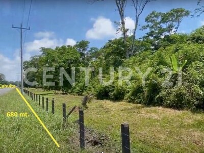Venta de Finca rodeada de naturaleza y muy cerca del mar, en Westfalia, Limón, Costa Rica — Foto 63