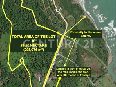 Venta de Finca rodeada de naturaleza y muy cerca del mar, en Westfalia, Limón, Costa Rica — Foto 66