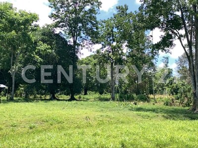 Venta de Finca rodeada de naturaleza y muy cerca del mar, en Westfalia, Limón, Costa Rica — Foto 49