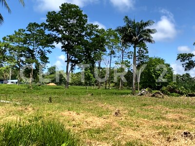 Venta de Finca rodeada de naturaleza y muy cerca del mar, en Westfalia, Limón, Costa Rica — Foto 27
