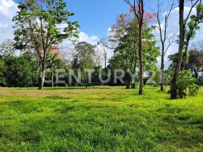 Venta de Finca rodeada de naturaleza y muy cerca del mar, en Westfalia, Limón, Costa Rica — Foto 60