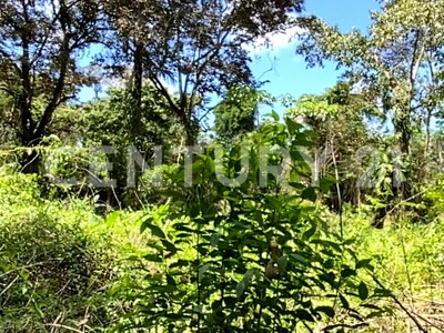 Venta de Finca rodeada de naturaleza y muy cerca del mar, en Westfalia, Limón, Costa Rica — Foto 29