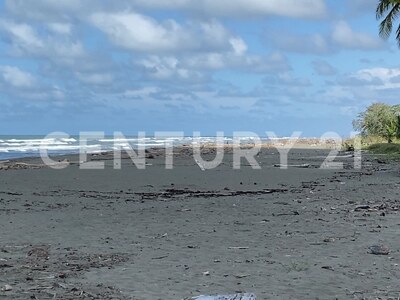 Venta de Finca rodeada de naturaleza y muy cerca del mar, en Westfalia, Limón, Costa Rica — Foto 41