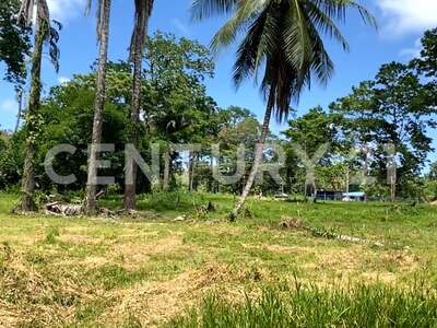 Venta de Finca rodeada de naturaleza y muy cerca del mar, en Westfalia, Limón, Costa Rica — Foto 25