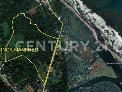 Venta de Finca rodeada de naturaleza y muy cerca del mar, en Westfalia, Limón, Costa Rica — Foto 65