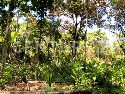Venta de Finca rodeada de naturaleza y muy cerca del mar, en Westfalia, Limón, Costa Rica — Foto 32