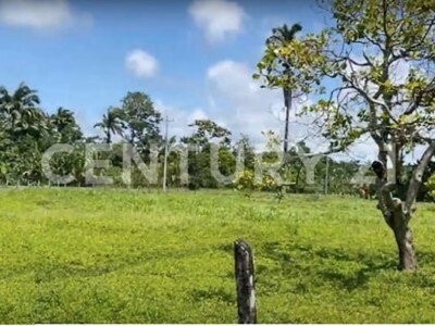 Venta de Finca rodeada de naturaleza y muy cerca del mar, en Westfalia, Limón, Costa Rica — Foto 8