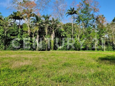 Venta de Finca rodeada de naturaleza y muy cerca del mar, en Westfalia, Limón, Costa Rica — Foto 60