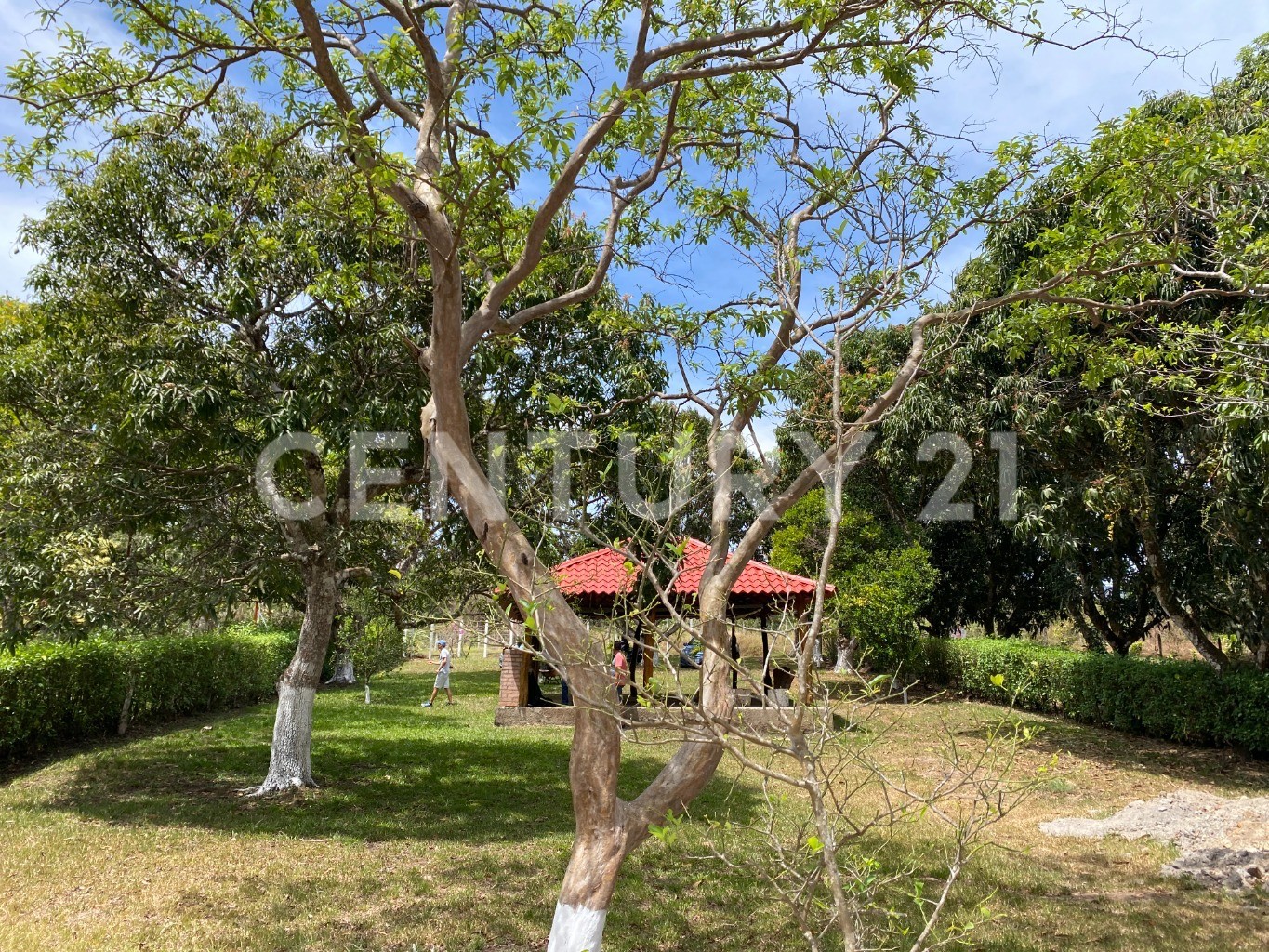 Venta de terreno plano en Sabana Larga de Atenas, Alajuela. ¡Gran oportunidad! — Foto 2