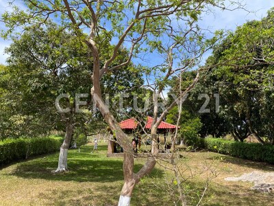 Venta de terreno plano en Sabana Larga de Atenas, Alajuela. ¡Gran oportunidad! — Foto 2
