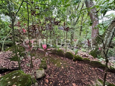 Venta lote residencial en el mejor condominio de La Guácima de Alajuela. — Foto 14