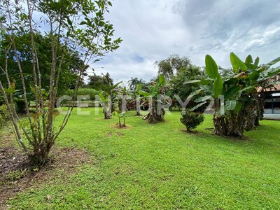 Venta de lote en Chachagua, San Ramón Alajuela — Foto 21