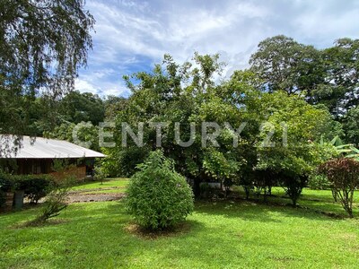 Venta de lote en Chachagua, San Ramón Alajuela — Foto 4