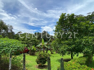 Venta de lote en Chachagua, San Ramón Alajuela — Foto 16