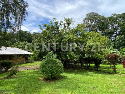 Venta de lote en Chachagua, San Ramón Alajuela — Foto 9
