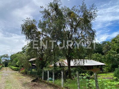 Venta de lote en Chachagua, San Ramón Alajuela — Foto 15