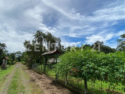 Venta de lote en Chachagua, San Ramón Alajuela — Foto 17