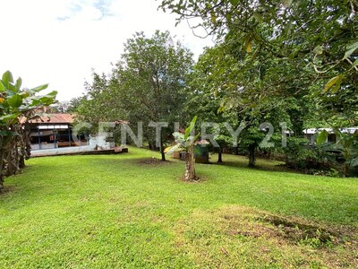 Venta de lote en Chachagua, San Ramón Alajuela — Foto 19