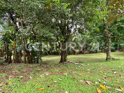 Venta de lote en Chachagua, San Ramón Alajuela — Foto 23