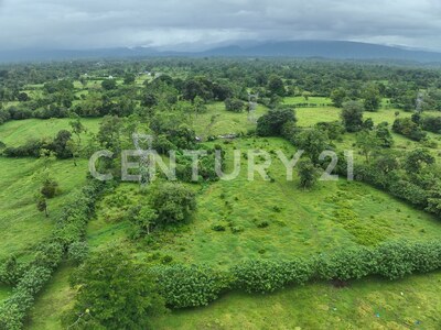 Venta de Terreno en La Colonia de Guápiles — Foto 17