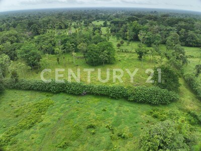 Venta de Terreno en La Colonia de Guápiles — Foto 16