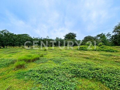 Venta de Terreno en La Colonia de Guápiles — Foto 13